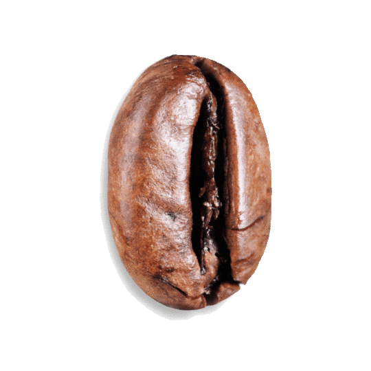 Ara Coffee Bean